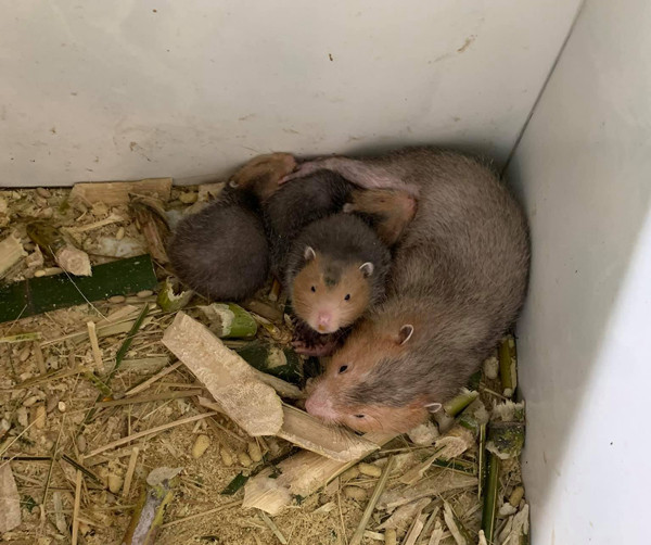 Khoi nghiep tu 20 trieu dong, 9x thu ve 50 trieu dong/thang-Hinh-2