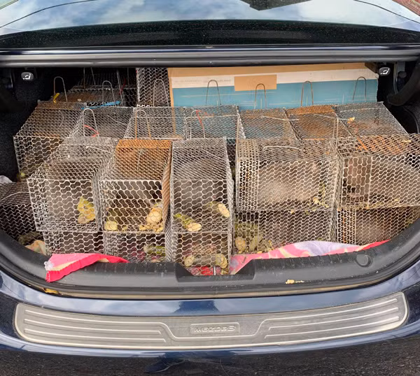 Khoi nghiep tu 20 trieu dong, 9x thu ve 50 trieu dong/thang-Hinh-3