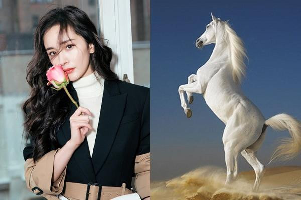 3 con giap tien vang day tui, cang cham chi cang doi dao tai loc-Hinh-2