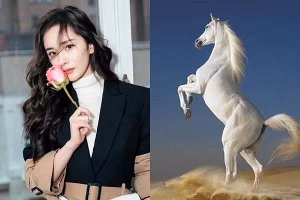 3 con giap tien vang day tui, cang cham chi cang doi dao tai loc-Hinh-2