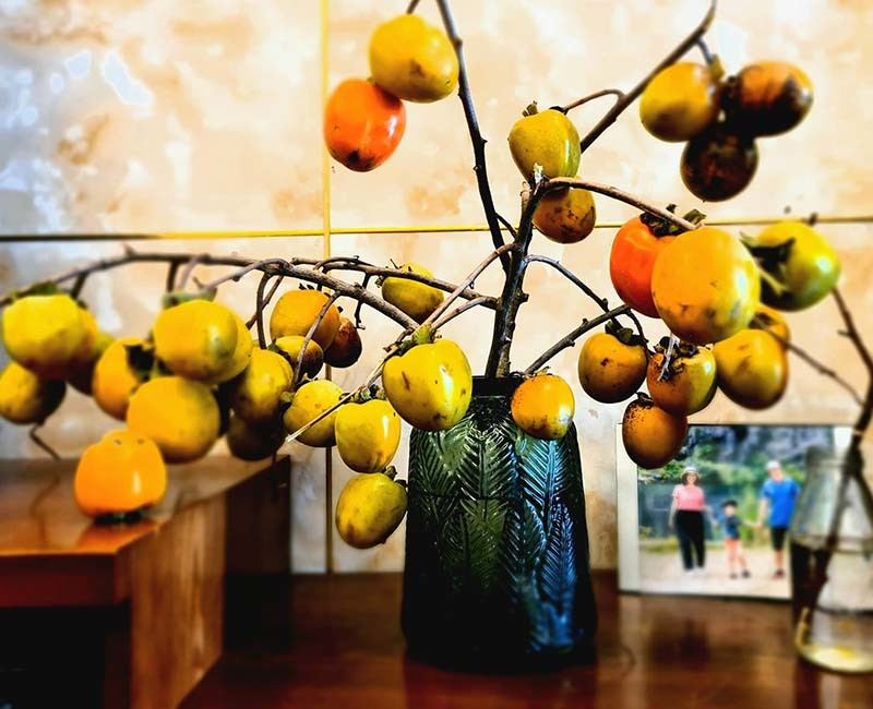 Ruoc canh hong qua tren nui ve nha, ngoi cho chin hai an dan-Hinh-3