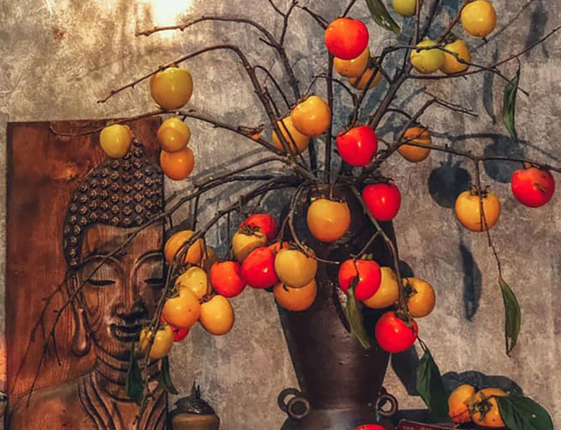 Ruoc canh hong qua tren nui ve nha, ngoi cho chin hai an dan