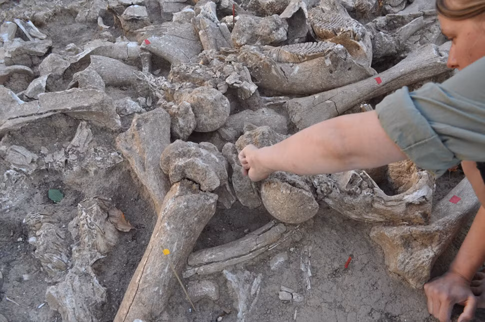 Cong trinh kien truc tu xuong voi ma mut lon nhat tu truoc den nay-Hinh-3