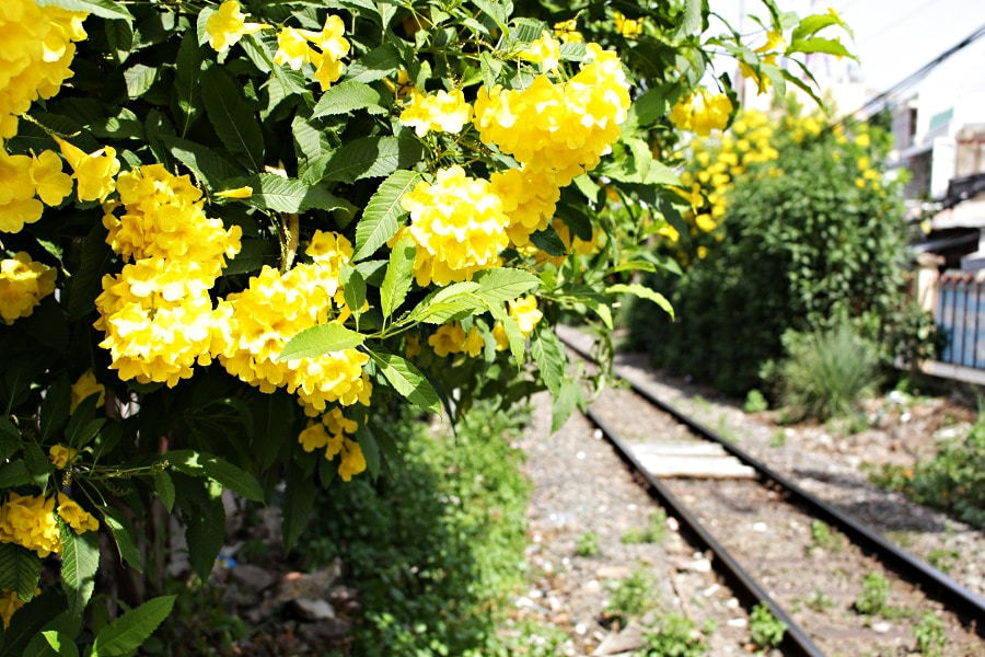 Chong duoi vo khoi nha vi tieu 30 trieu moi thang