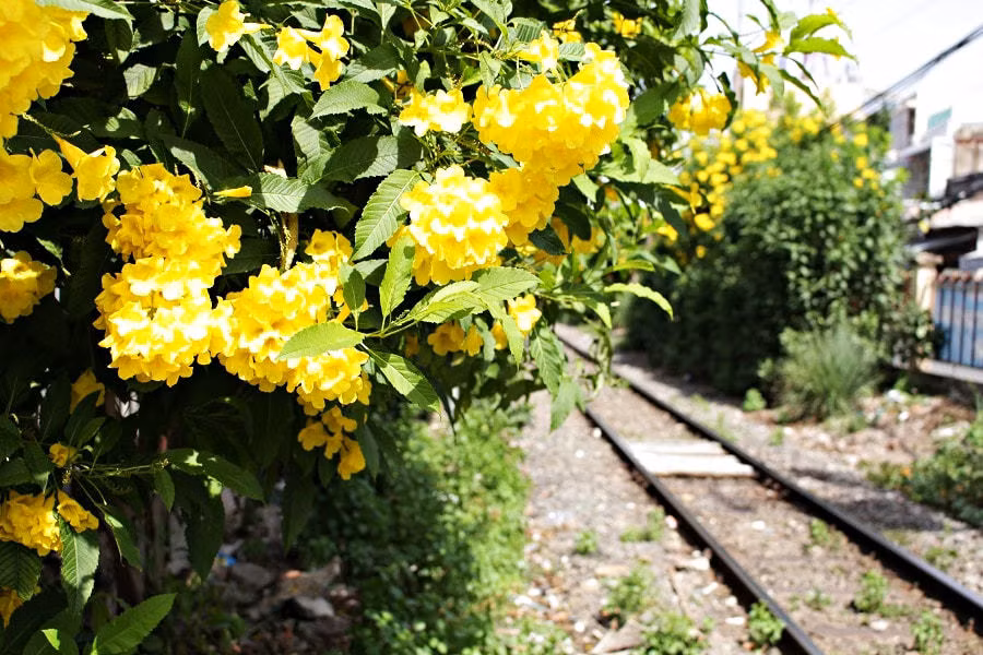 Chong duoi vo khoi nha vi tieu 30 trieu moi thang