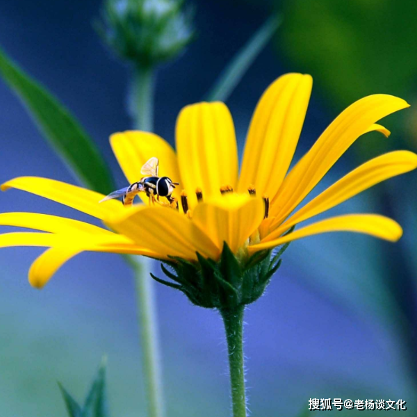 Trẻ sinh vào 5 ngày Âm lịch này, hiếu thảo lại tài năng ngút trời - Hình 3 Tre sinh vao 5 ngay Am lich nay, hieu thao lai tai nang ngut troi-Hinh-3