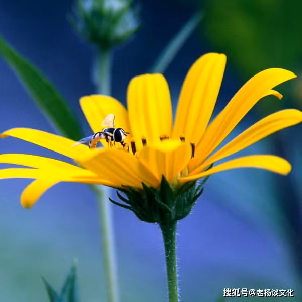 Tre sinh vao 5 ngay Am lich nay, hieu thao lai tai nang ngut troi-Hinh-3