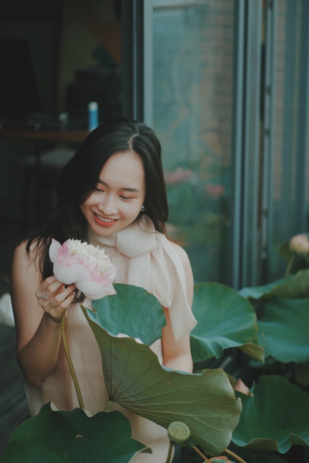 Ho sen trong can penthouse cua a khoi DH Kinh te Quoc dan