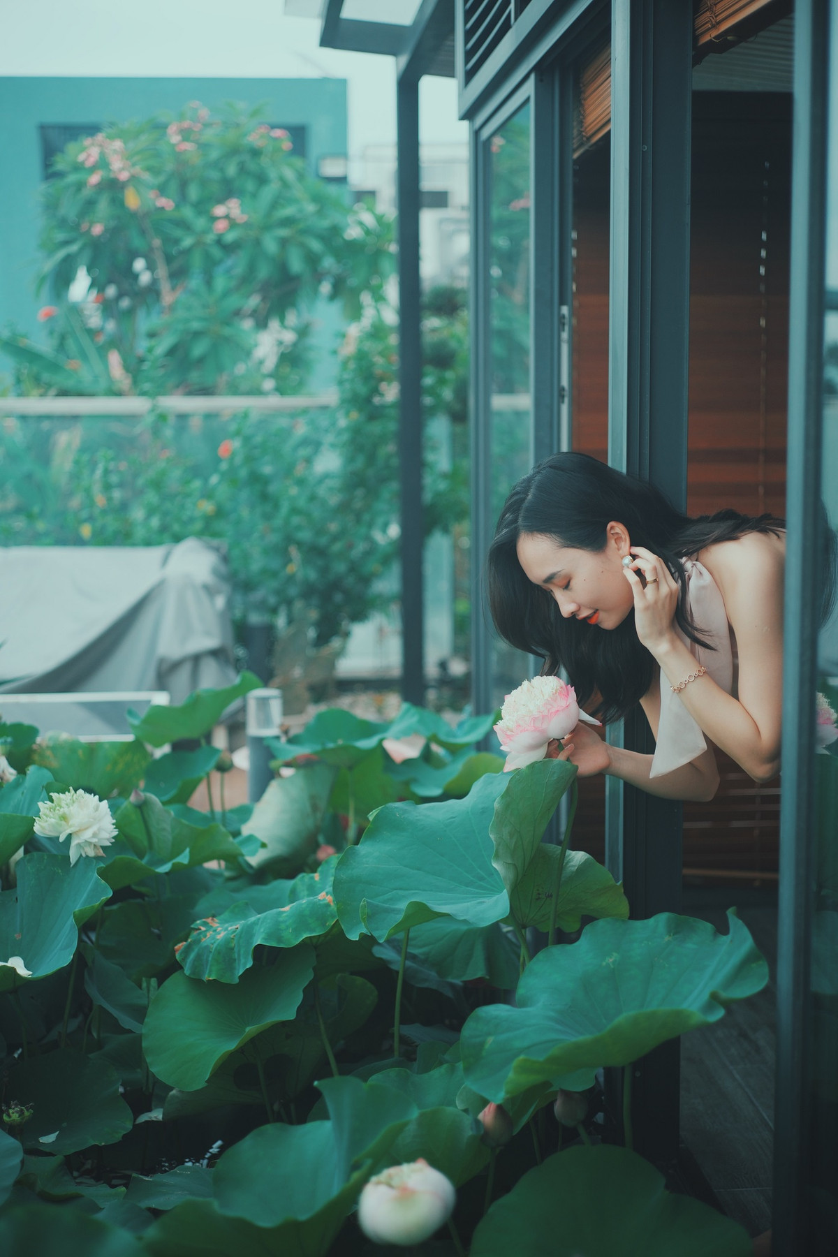 Ho sen trong can penthouse cua a khoi DH Kinh te Quoc dan-Hinh-3