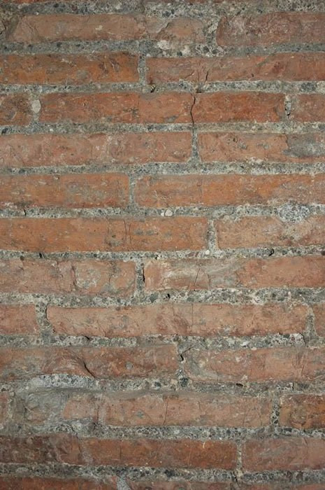 Sung sot lop tuong thanh “tu phuc hoi” vay ngoi mo cua nu quy toc-Hinh-4