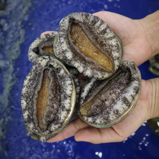 Thuc hu bao ngu Han Quoc gia re nhu rau ban day cho mang-Hinh-3