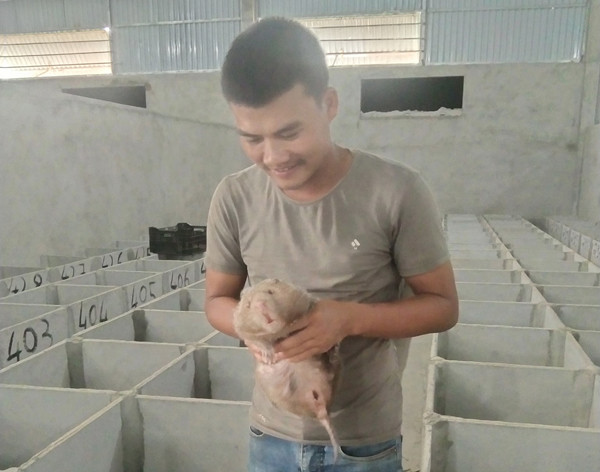 Nuoi con vat nhan ha ban nua trieu dong/kg-Hinh-2