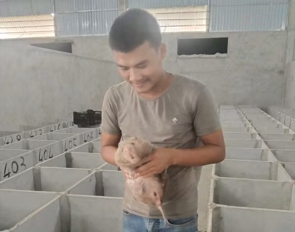 Nuoi con vat nhan ha ban nua trieu dong/kg-Hinh-2