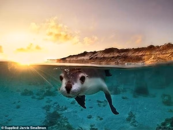 Anh dam may cua nam sinh 14 tuoi khien nhieu nguoi “dung toc gay”-Hinh-4