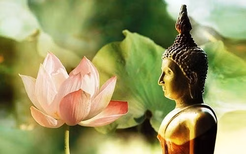 Doi nguoi ai cung co 4 noi so lon nhat