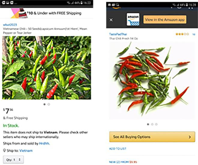 Loai qua co khap vuon nha nong Viet, o cho nay rao ban 670.000 dong/kg-Hinh-3