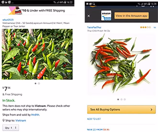 Loai qua co khap vuon nha nong Viet, o cho nay rao ban 670.000 dong/kg-Hinh-3