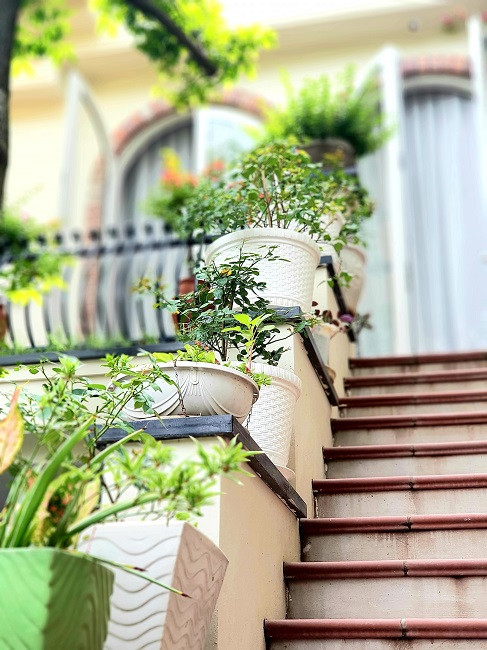 Ngoi nha bo hoang giua Ha Noi bien hinh gay chu y-Hinh-8