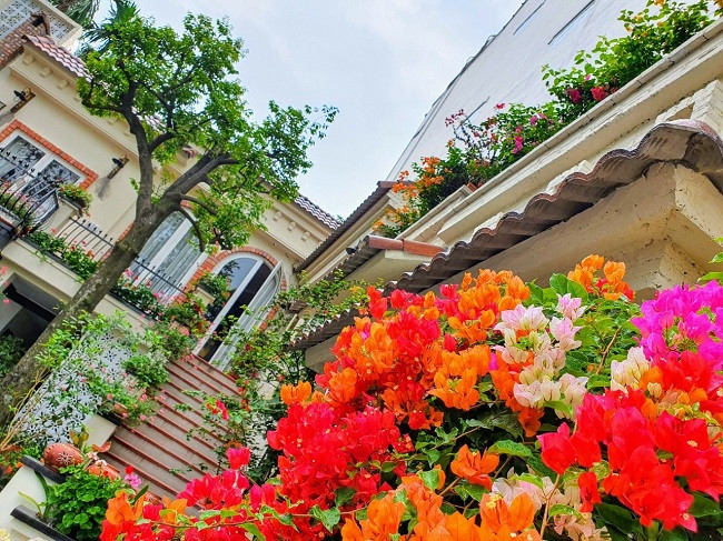 Ngoi nha bo hoang giua Ha Noi bien hinh gay chu y-Hinh-10