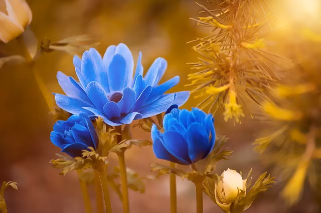 Nguoi sinh vao khung gio Am lich nay chi can no luc, ca doi huong phuc-Hinh-2