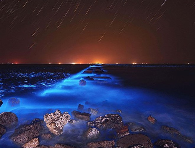 ##sc### Sinh vật phù du xuất hiện ở hầu hết các bãi biển trên thế giới, đặc biệt là ở đảo Maldives. Chúng phát ra ánh sáng màu xanh dương, và có xu hướng phát sáng mạnh hơn khi có sự tác động của những cơn sóng 