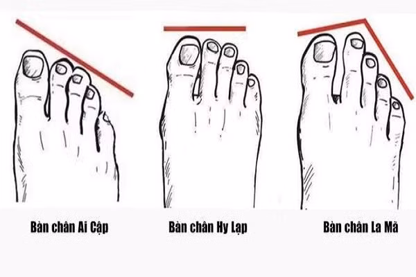 Ngon chan nao dai nhat cho biet van menh tuong lai cua ban?