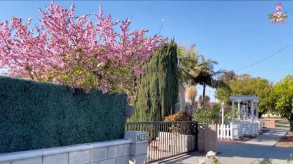 Ca sĩ Quang Lê quay lén cảnh Bằng Kiều hút thuốc lào - Hình 6 Ca si Quang Le quay len canh Bang Kieu hut thuoc lao-Hinh-6