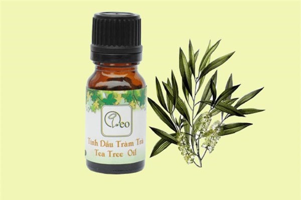 7 phương pháp tự nhiên đánh bay mùi cơ thể ảnh 4