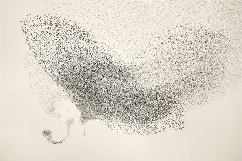 Với cách di chuyển linh hoạt này, mỗi con sáo đá phải bao quát hướng đi của 6-7 con khác trong đàn. Thông thường, vào mùa xuân, chúng thường tách đàn theo đôi để xây "tổ ấm". Sau đó, đến mùa thu, đàn sáo lại tụ với nhau.