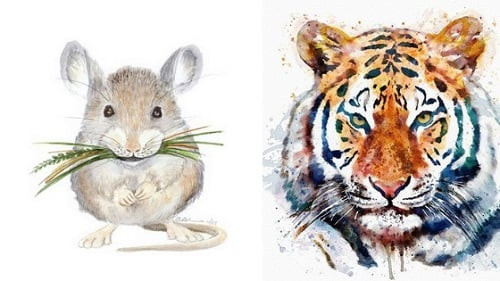 Tuan moi (11/10-17/10): 3 con giap hung tron van den, lam gi cung kho