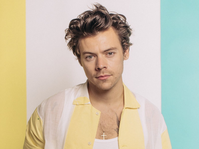 Theo tạp chí Heat, Harry Styles đang có khối tài sản khoảng 102 triệu USD. Nam ca sĩ đứng tên ba căn nhà ở khu phố Hampstead đắt đỏ ở Bắc London, Anh. Căn nhà đắt nhất giọng ca Adore You đang sở hữu có giá đến 11 triệu USD. Ngoài ra, anh còn vung tiền cho siêu xe, đáng chú ý là Ferrari California, Jaguar E-Type mui trần, Mercedes-Benz cổ điển, Range Rover Sport và cả Audi R8 Coupe.