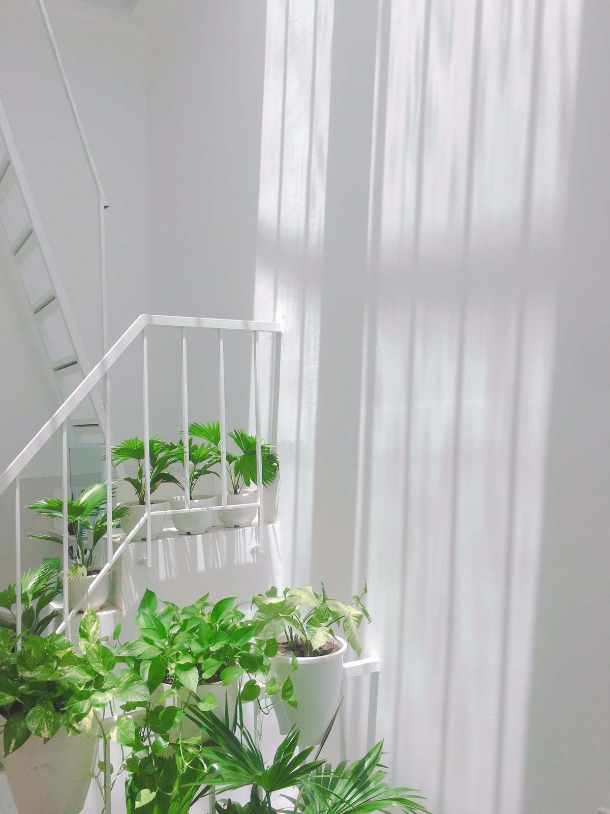 Vì là diện tích nhỏ nhưng mẹ lại muốn có nhiều cây xanh trong nhà nên anh Quốc Anh tận dụng ô cầu thang có giếng trời để làm vườn treo mini.