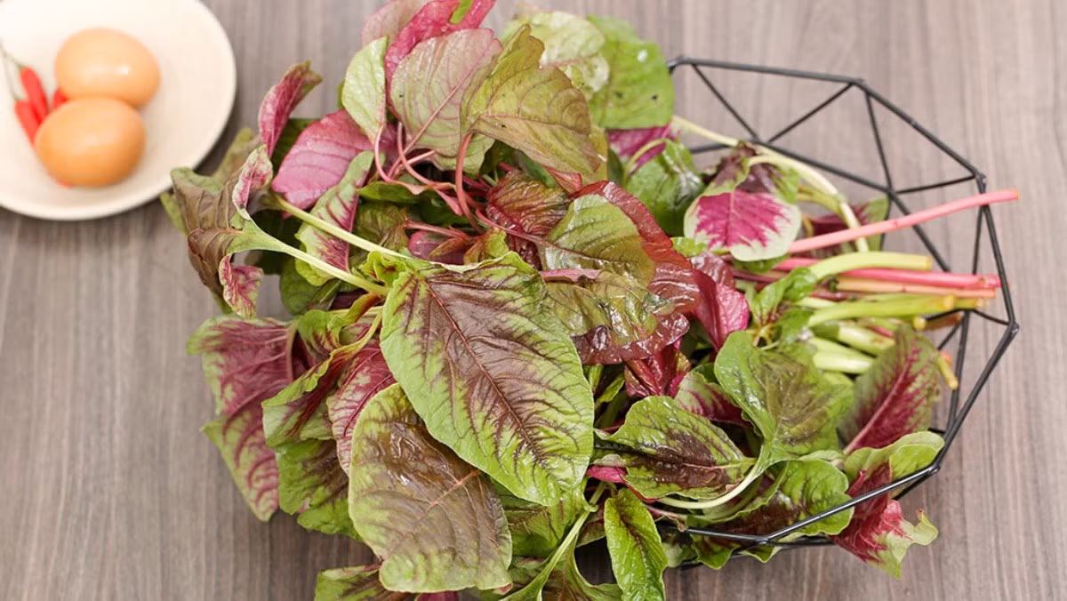 O noi nay rau den o day duoc ton vinh rau truong tho ban dat do-Hinh-3