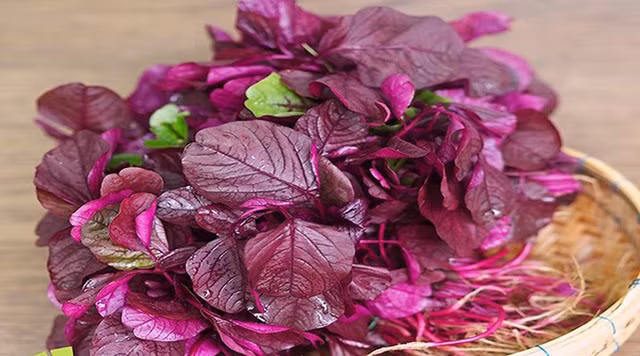 O noi nay rau den o day duoc ton vinh rau truong tho ban dat do-Hinh-4