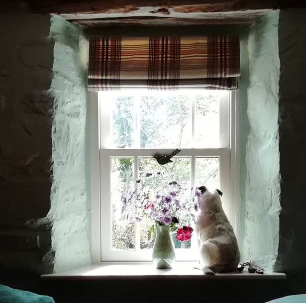 Can nha cu nat mua gan 2 trieu, 20 nam sau ai cung choang-Hinh-3