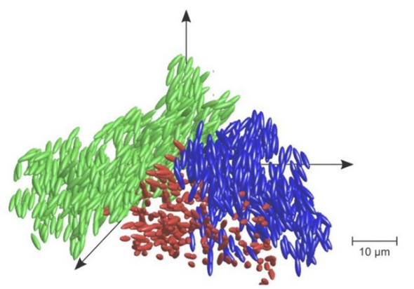Thuy tinh long phat hien la mot trang thai vat chat moi-Hinh-2