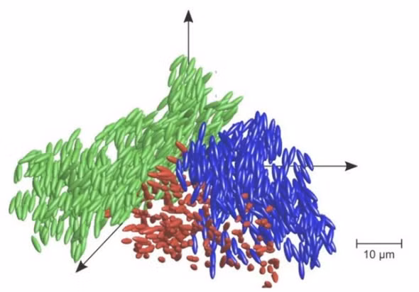 Thuy tinh long phat hien la mot trang thai vat chat moi-Hinh-2