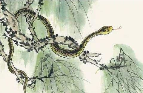 Họ có tài năng cao cả về những việc nhỏ và rộng, vì vậy họ sẽ có rất nhiều của cải.