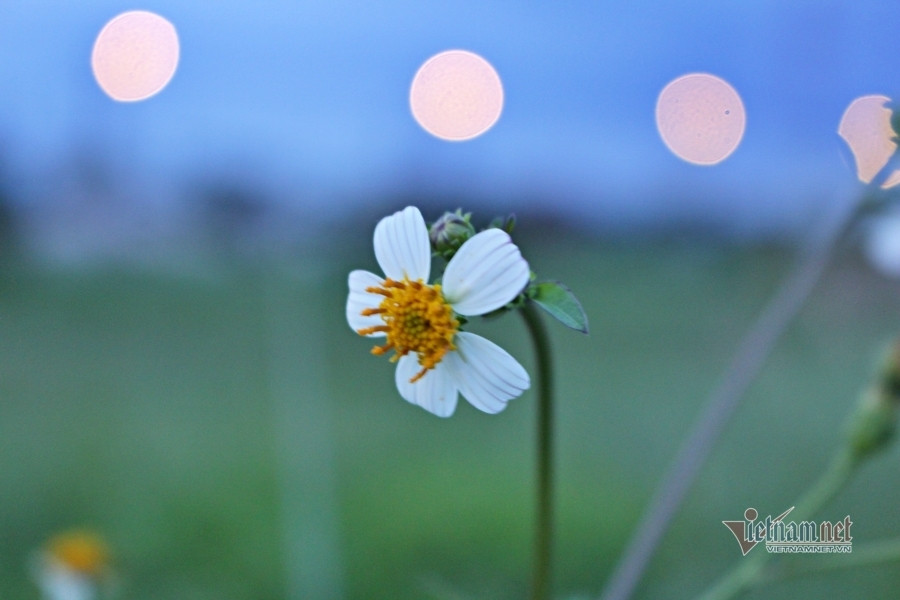 Tâm sự người mẹ phát hiện ra con là tiểu tam ảnh 1