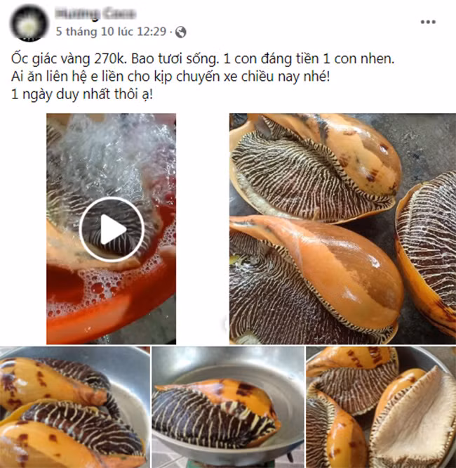 Hai san sieu khung bat ngo ban tren cho mang, nua trieu/con khach dat toi tap-Hinh-4