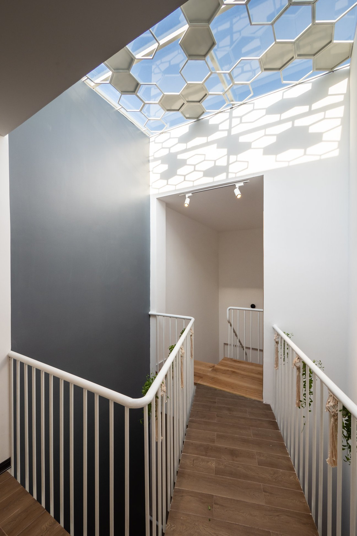 Ngoi nha o Da Nang, muon den cac phong phai qua chiec “cau vat veo”-Hinh-12