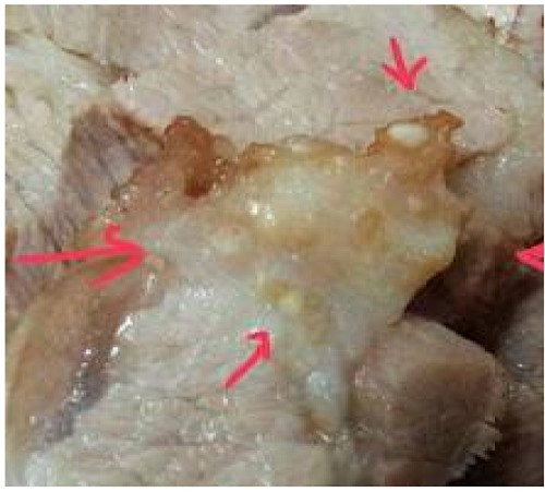 Những loại thực phẩm dù trót mua về cũng tuyệt đối "cấm" sử dụng ảnh 5