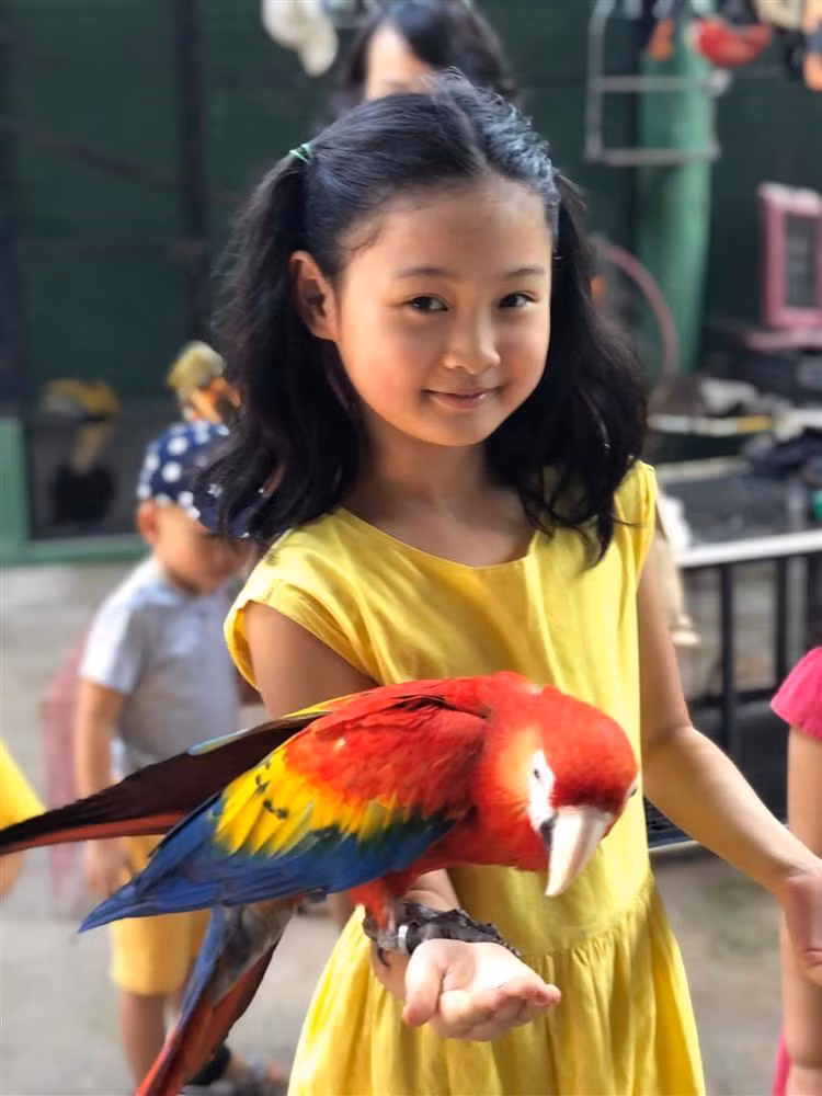 Cô nhóc Tiểu Panda rất giống mẹ, đặc biệt là đôi mắt mềm mại biết nói.