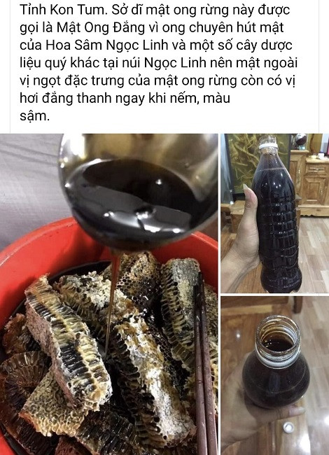 Mat ong hoa sam gia tien trieu, tho san ong rung tiet lo su that