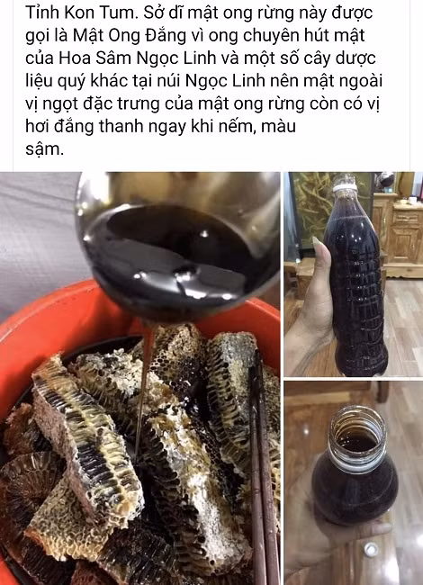 Mat ong hoa sam gia tien trieu, tho san ong rung tiet lo su that