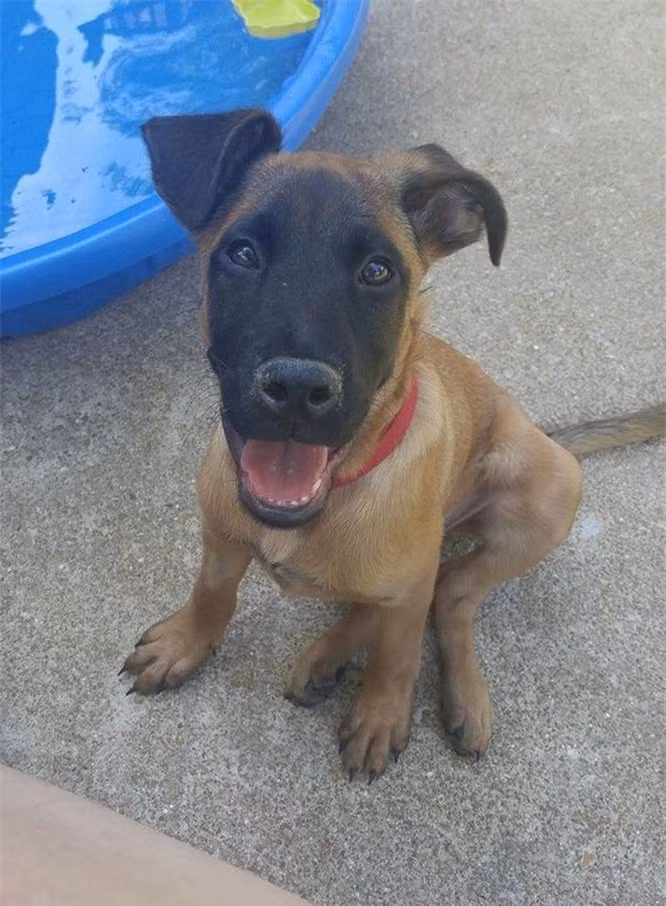 5. Khi bạn sở hữu tính cách phong phú