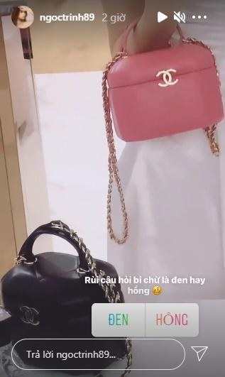 Mac dich benh kho khan, Ngoc Trinh van chi gan nua ty sam tui hieu-Hinh-4