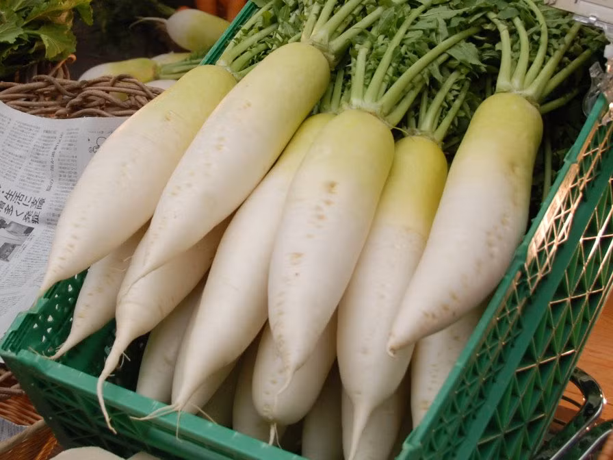 7 thuc pham hut sach doc to cua gan mot cach tu nhien-Hinh-2