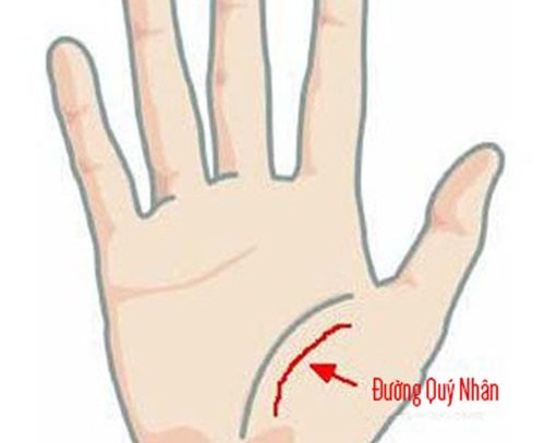 Ngua long ban tay, thay co dac diem nay sung suong den gia-Hinh-3