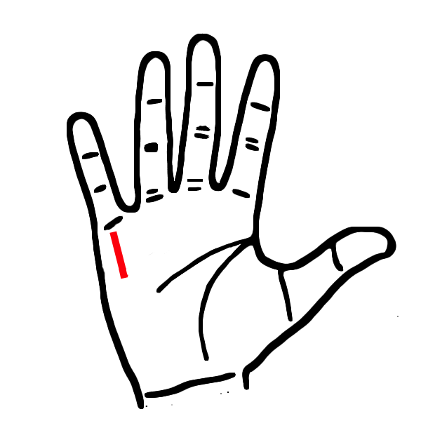 Ngua long ban tay, thay co dac diem nay sung suong den gia-Hinh-4